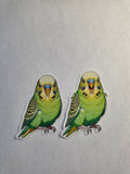 Parakeet Budgie Inspired stickers pack of 2