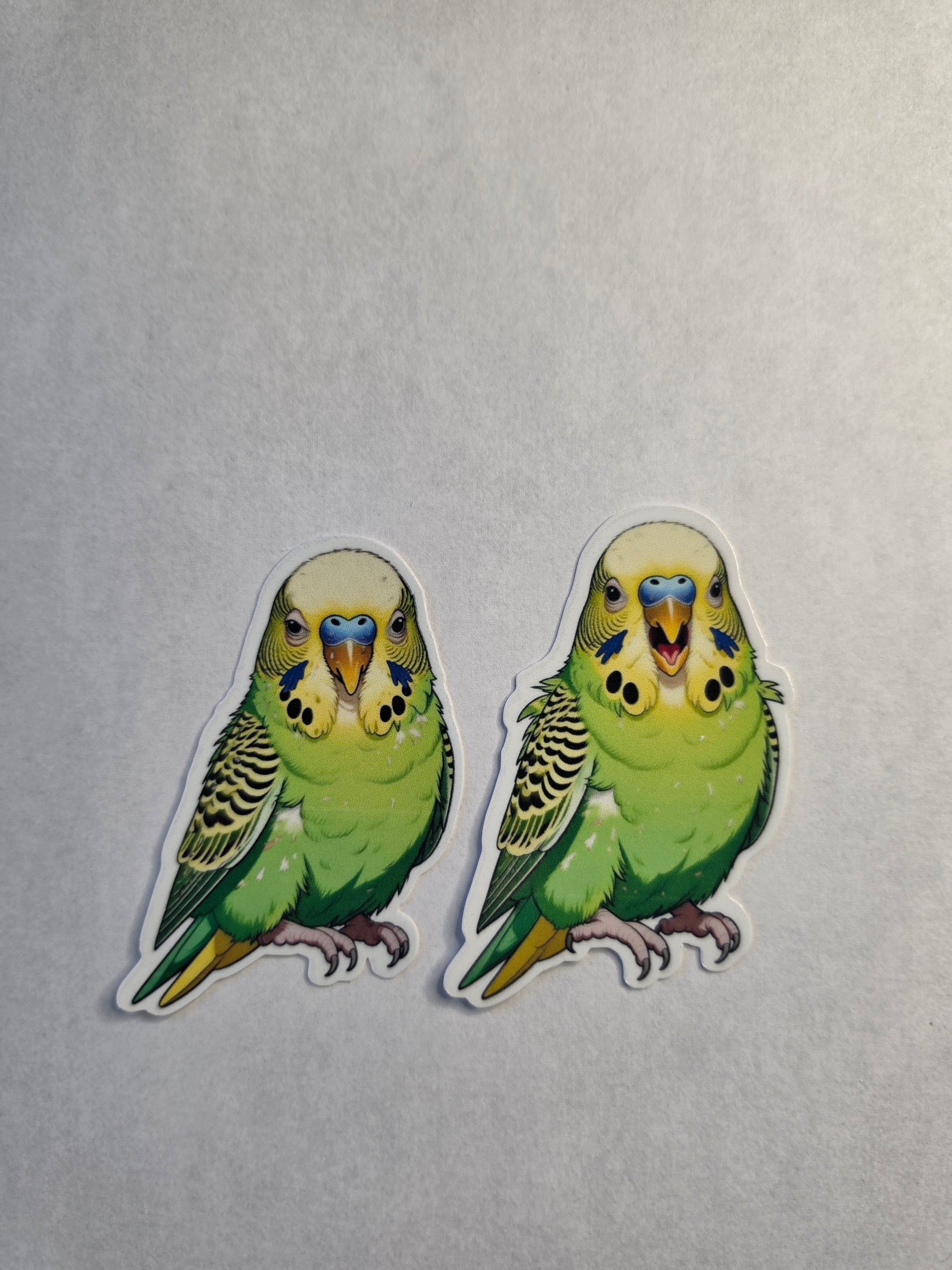 Parakeet Budgie Inspired stickers pack of 2
