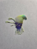 Halloween holographic Glow-in-the-dark Halo inspired flood sticker