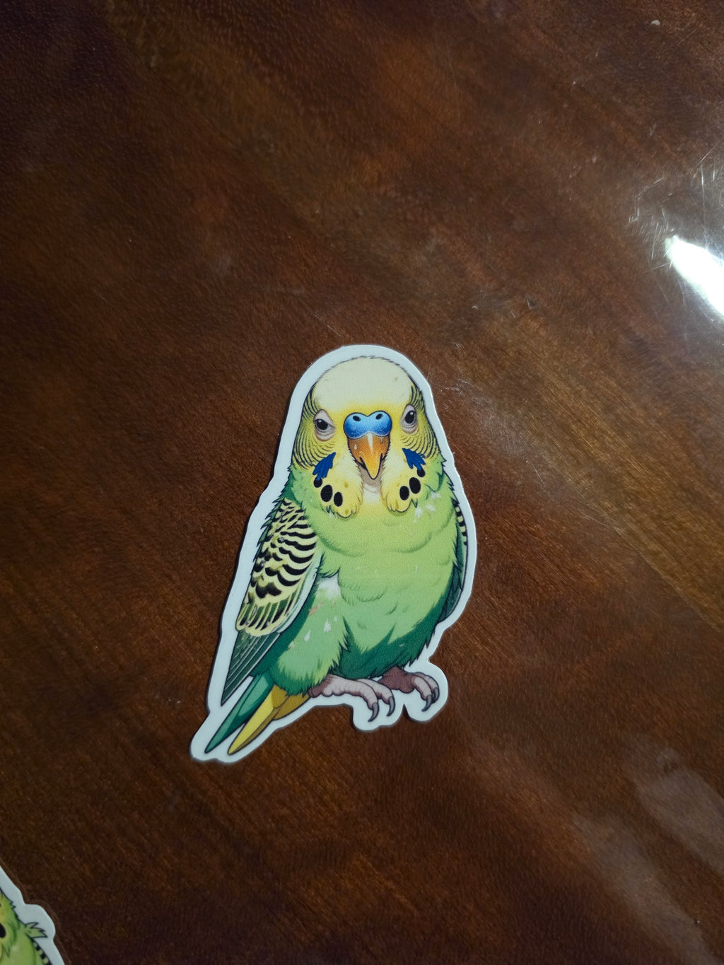 Parakeet Budgie Inspired stickers pack of 2