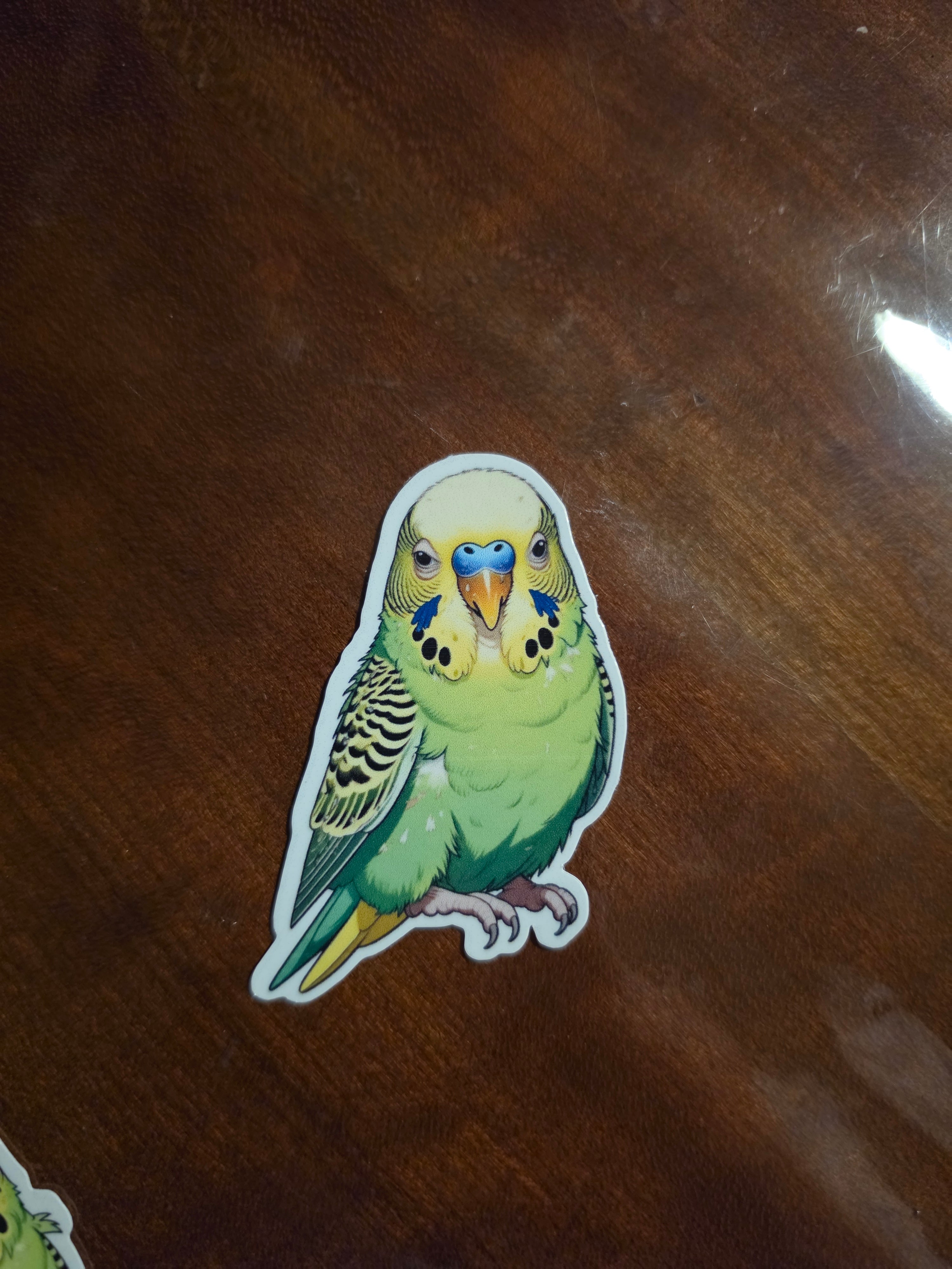 Parakeet Budgie Inspired stickers pack of 2