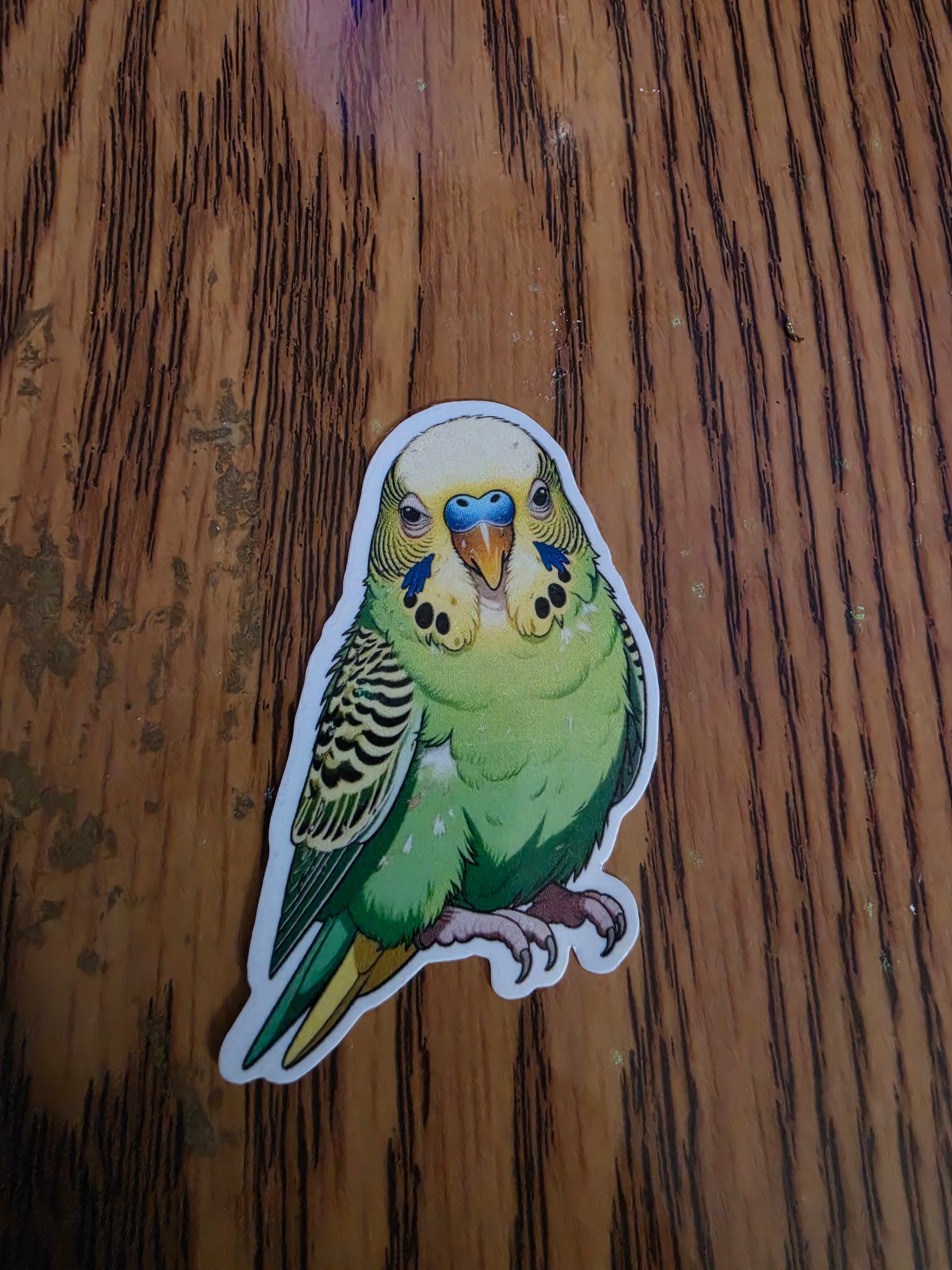 Parakeet Budgie Inspired stickers pack of 2
