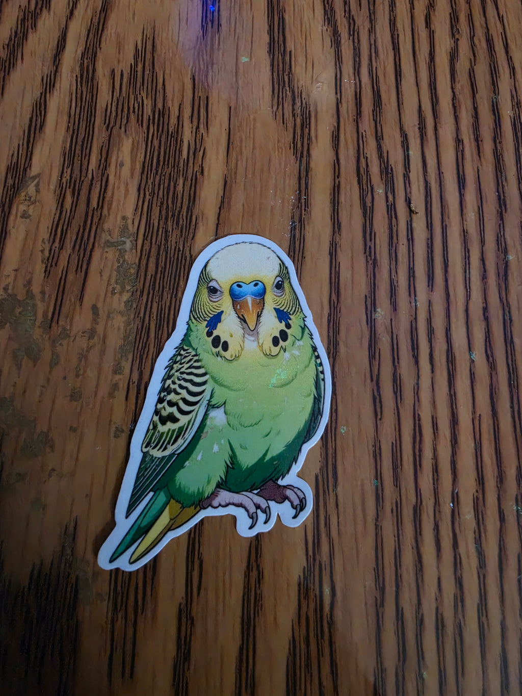 Parakeet Budgie Inspired stickers pack of 2