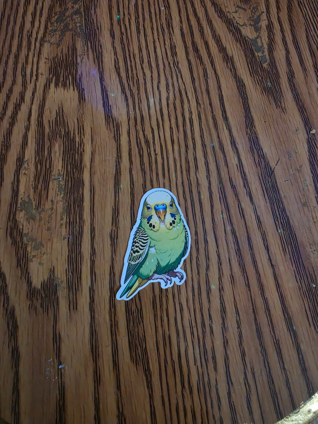 Parakeet Budgie Inspired stickers pack of 2