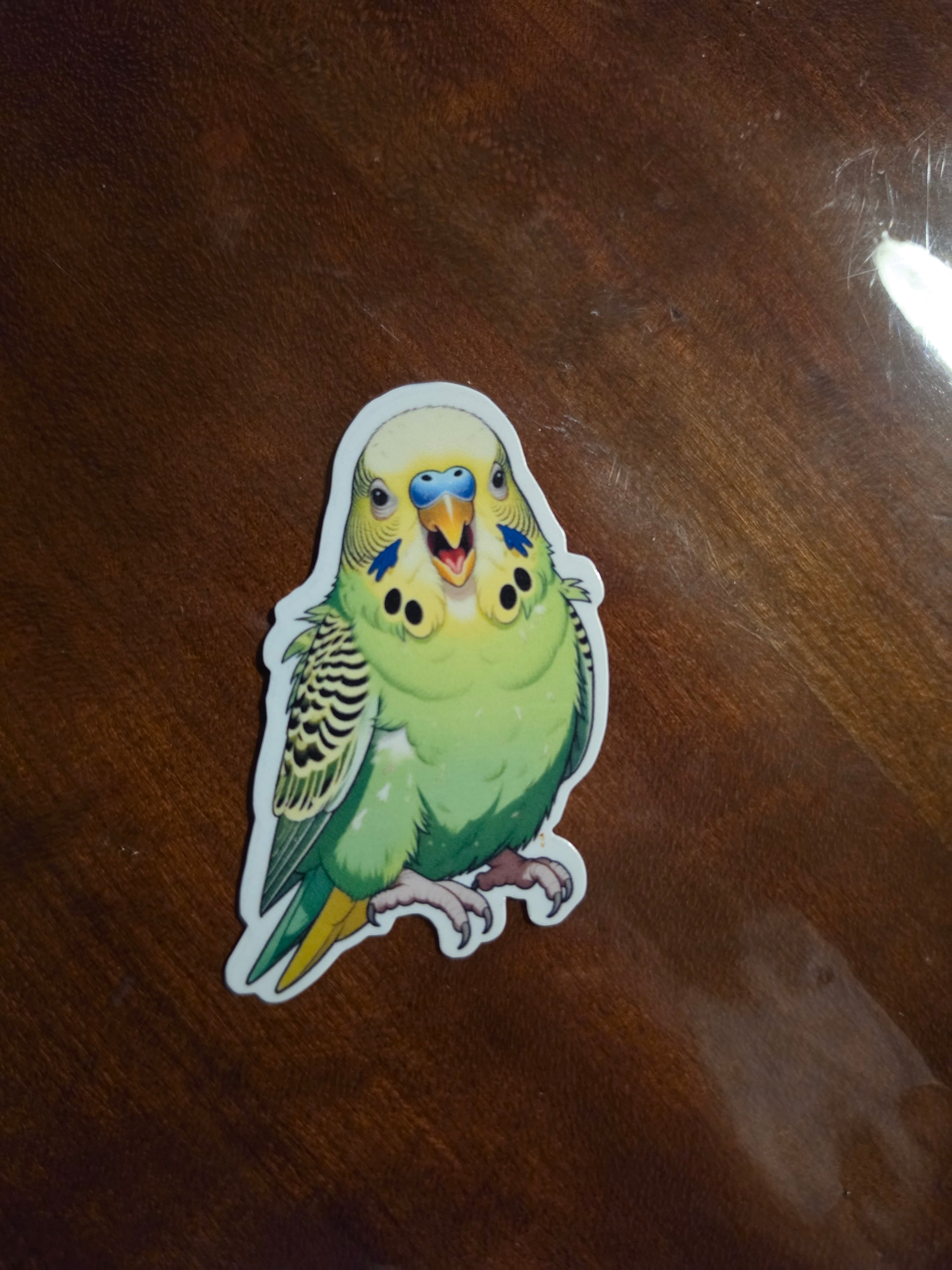 Parakeet Budgie Inspired stickers pack of 2